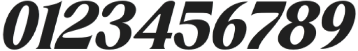 Dishcek Italic otf (400) Font OTHER CHARS