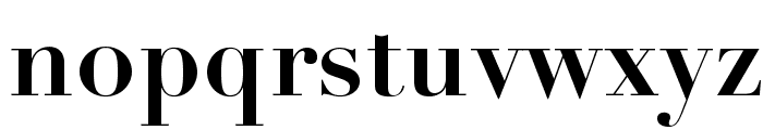 DidotLTStd-Bold Font LOWERCASE