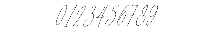 Diamante Signature_Italic Font OTHER CHARS