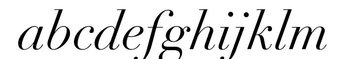 Didot Italic Font LOWERCASE
