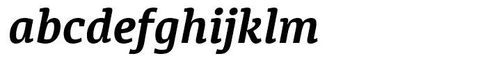 Diaria Pro Bold Italic Font LOWERCASE