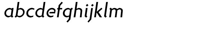 Dina Italic Font LOWERCASE