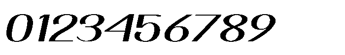 Dichora Black Expanded Oblique Font OTHER CHARS