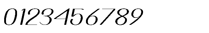 Dichora Black Extra Condensed Oblique Font OTHER CHARS
