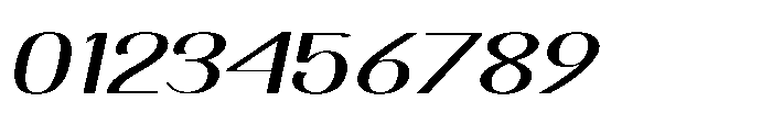 Dichora Black Semi Expanded Oblique Font OTHER CHARS