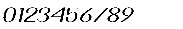 Dichora Bold Oblique Font OTHER CHARS