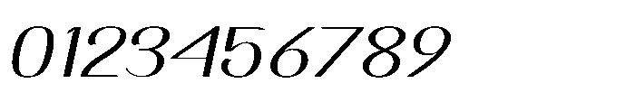 Dichora Extra Black Condensed Oblique Font OTHER CHARS