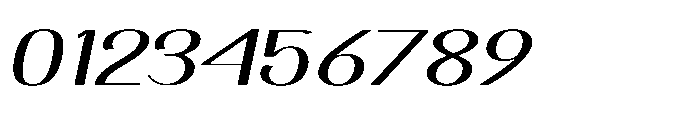 Dichora Extra Black Oblique Font OTHER CHARS