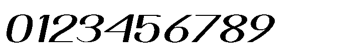 Dichora Extra Bold Expanded Oblique Font OTHER CHARS