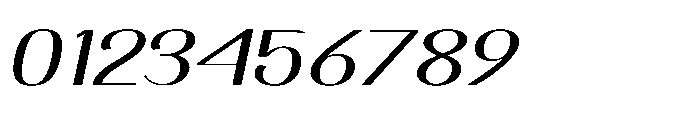 Dichora Extra Bold Oblique Font OTHER CHARS