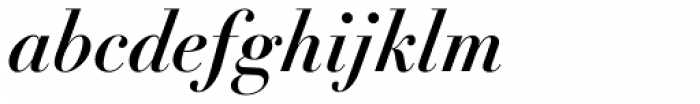 Didot LT Std Bold Italic Font LOWERCASE