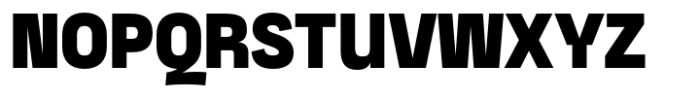 Dignity Grotesk Black Font UPPERCASE