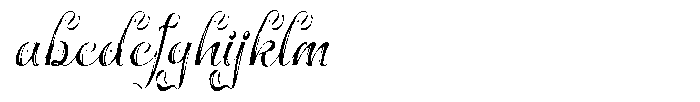 Dineschara Italic FONT