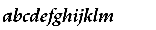 Dingocitta Bold Italic Font LOWERCASE