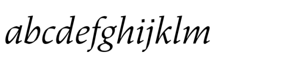 Dingocitta Text Italic Font LOWERCASE