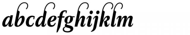 Diogenes Decorative Bold Italic 1 Font LOWERCASE