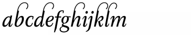 Diogenes Decorative Regular Italic 1 Font LOWERCASE
