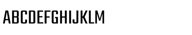 Director Bengali Regular Font UPPERCASE