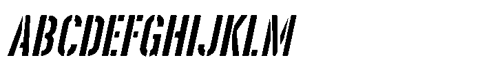 Disinformation JNL Oblique FONT