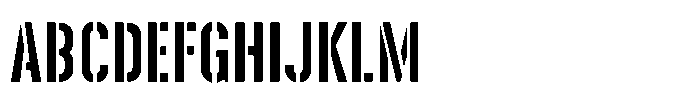 Disinformation JNL Regular FONT