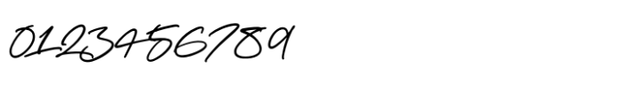 Distinct Style Script Alt Font OTHER CHARS