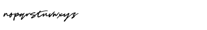 Distinct Style Script Font LOWERCASE