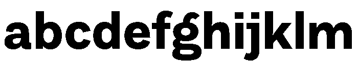 DiGrotesk Bold 8065237e FONT