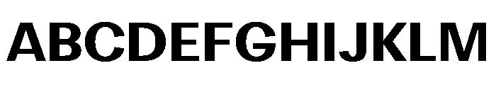 DiagolGrotesk Black Font UPPERCASE