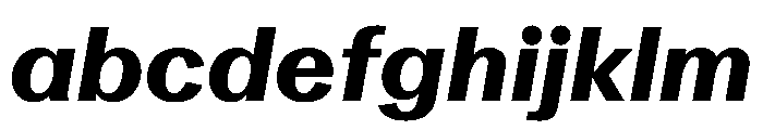 DiagolGrotesk BlackItalic FONT