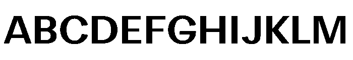 DiagolGrotesk Bold Font UPPERCASE