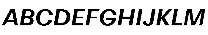 DiagolGrotesk BoldItalic Font UPPERCASE