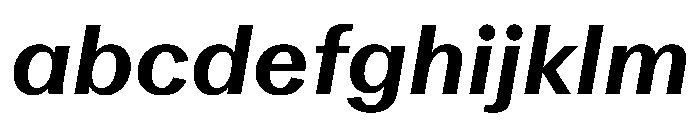 DiagolGrotesk BoldItalic FONT