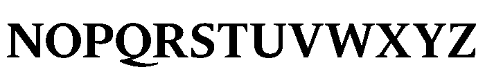 Dignitas Bold Font UPPERCASE