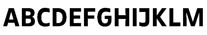 DinaChaumont TextBold Font UPPERCASE