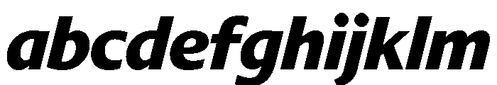 Diverse BExtraBoldItalic FONT