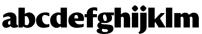 Diverse CBlack FONT
