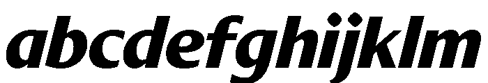 Diverse CExtraBoldItalic FONT