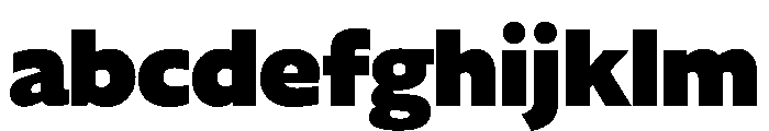 DiverseVF ABlack Instance FONT