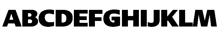DiverseVF BBlack Instance Font UPPERCASE