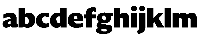 DiverseVF BBlack Instance FONT