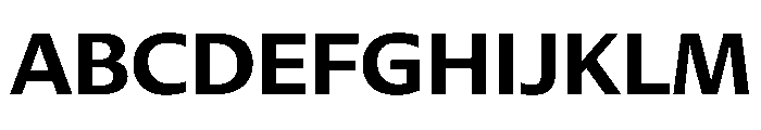 DiverseVF BBold Instance Font UPPERCASE