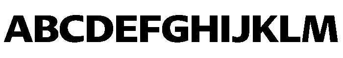 DiverseVF BExtraBold Instance Font UPPERCASE