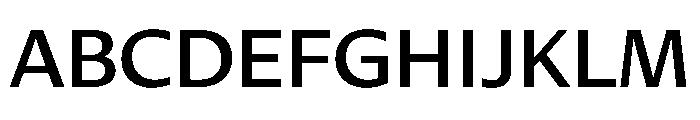 DiverseVF BMedium Instance Font UPPERCASE