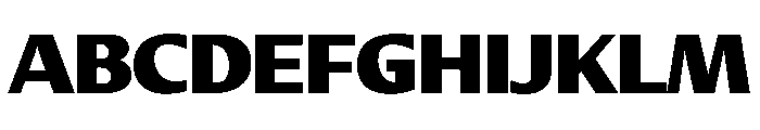 DiverseVF CBlack Instance Font UPPERCASE