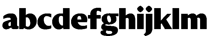 DiverseVF CBlack Instance FONT
