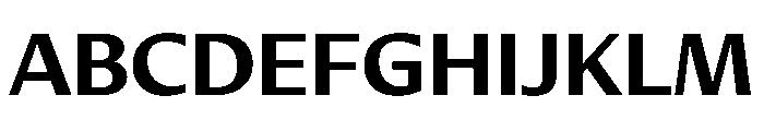 DiverseVF CBold Instance Font UPPERCASE