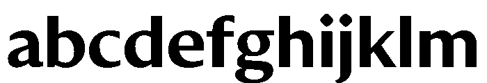 DiverseVF CBold Instance FONT