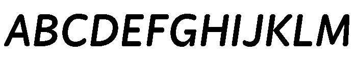Didactica Extra Bold Italic Font UPPERCASE