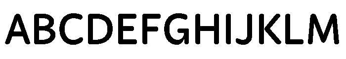 Didactica Extra Bold Font UPPERCASE