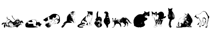 DJ Cats Font LOWERCASE